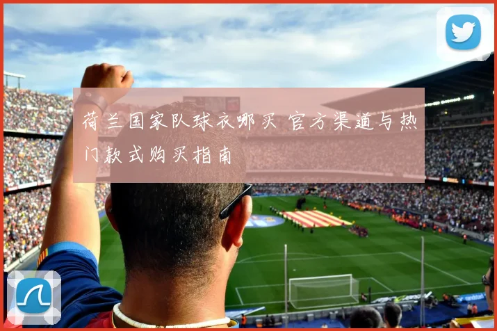 荷兰国家队球衣哪买 官方渠道与热门款式购买指南