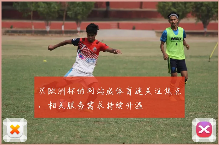 买欧洲杯的网站成体育迷关注焦点,相关服务需求持续升温