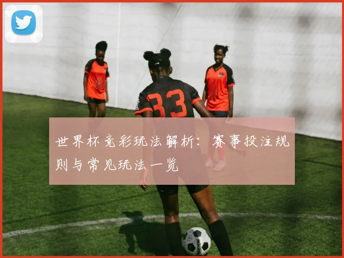 世界杯竞彩玩法解析：赛事投注规则与常见玩法一览