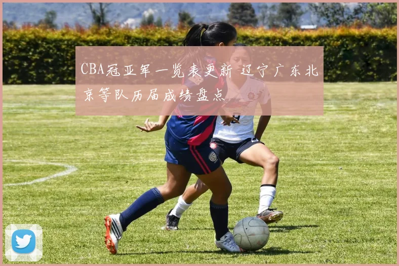 CBA冠亚军一览表更新 辽宁广东北京等队历届成绩盘点