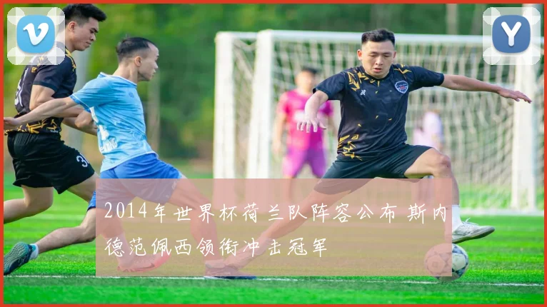 2014年世界杯荷兰队阵容公布 斯内德范佩西领衔冲击冠军