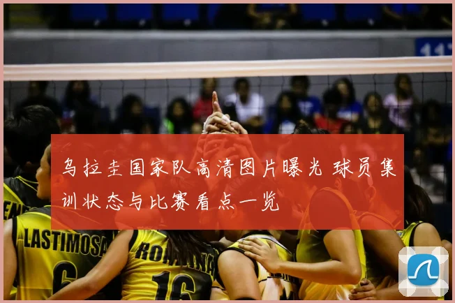 乌拉圭国家队高清图片曝光 球员集训状态与比赛看点一览