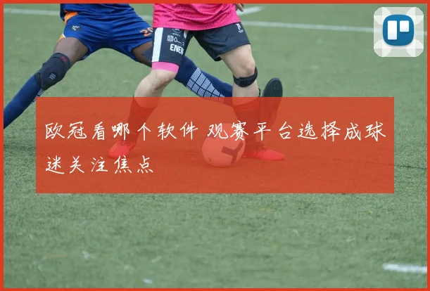 欧冠看哪个软件 观赛平台选择成球迷关注焦点