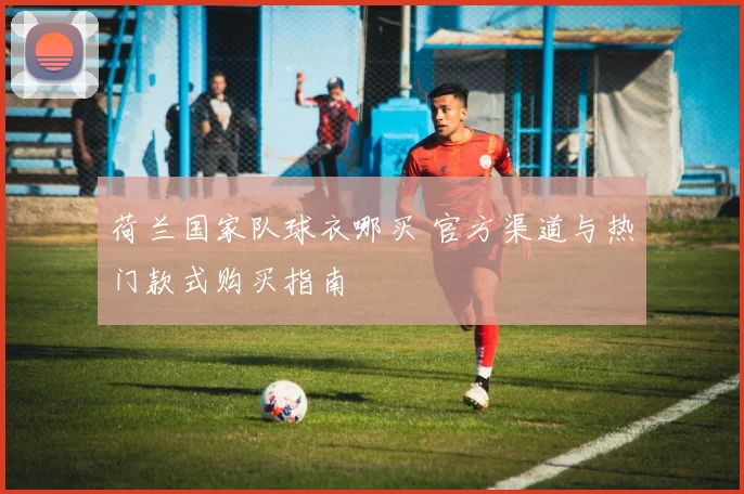 荷兰国家队球衣哪买 官方渠道与热门款式购买指南