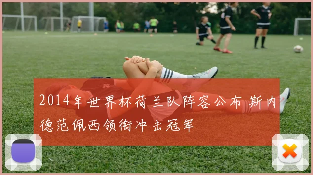 2014年世界杯荷兰队阵容公布 斯内德范佩西领衔冲击冠军