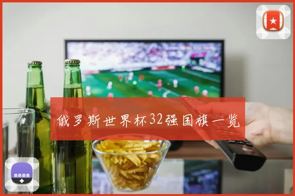 俄罗斯世界杯32强国旗一览